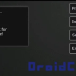 DroidCam​ starting server